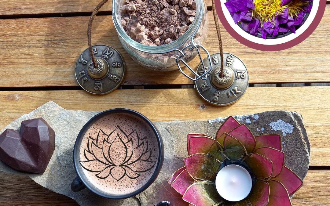 BIOHACKING DU CACAO / Nootropique naturel